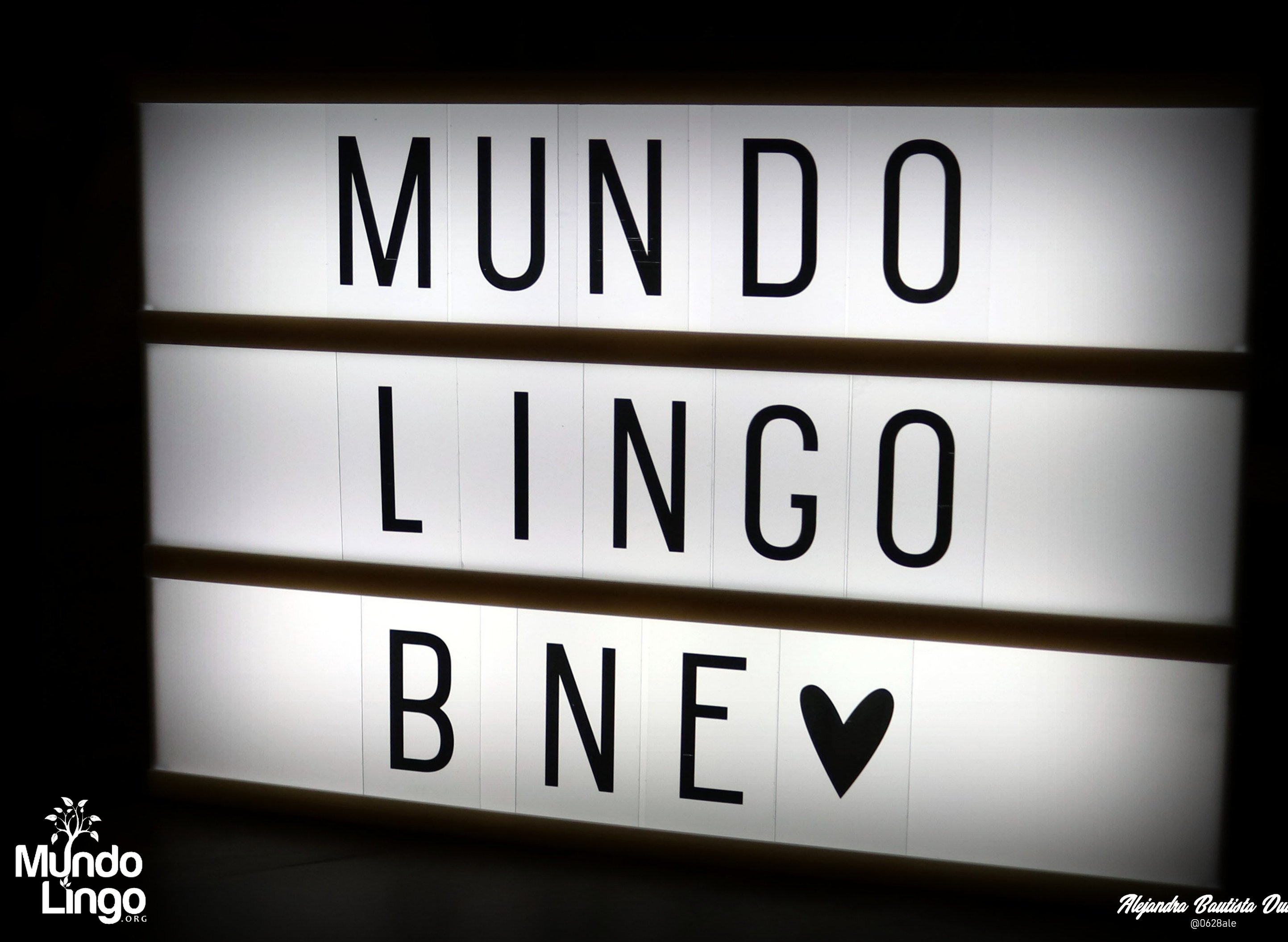 Mundo Lingo