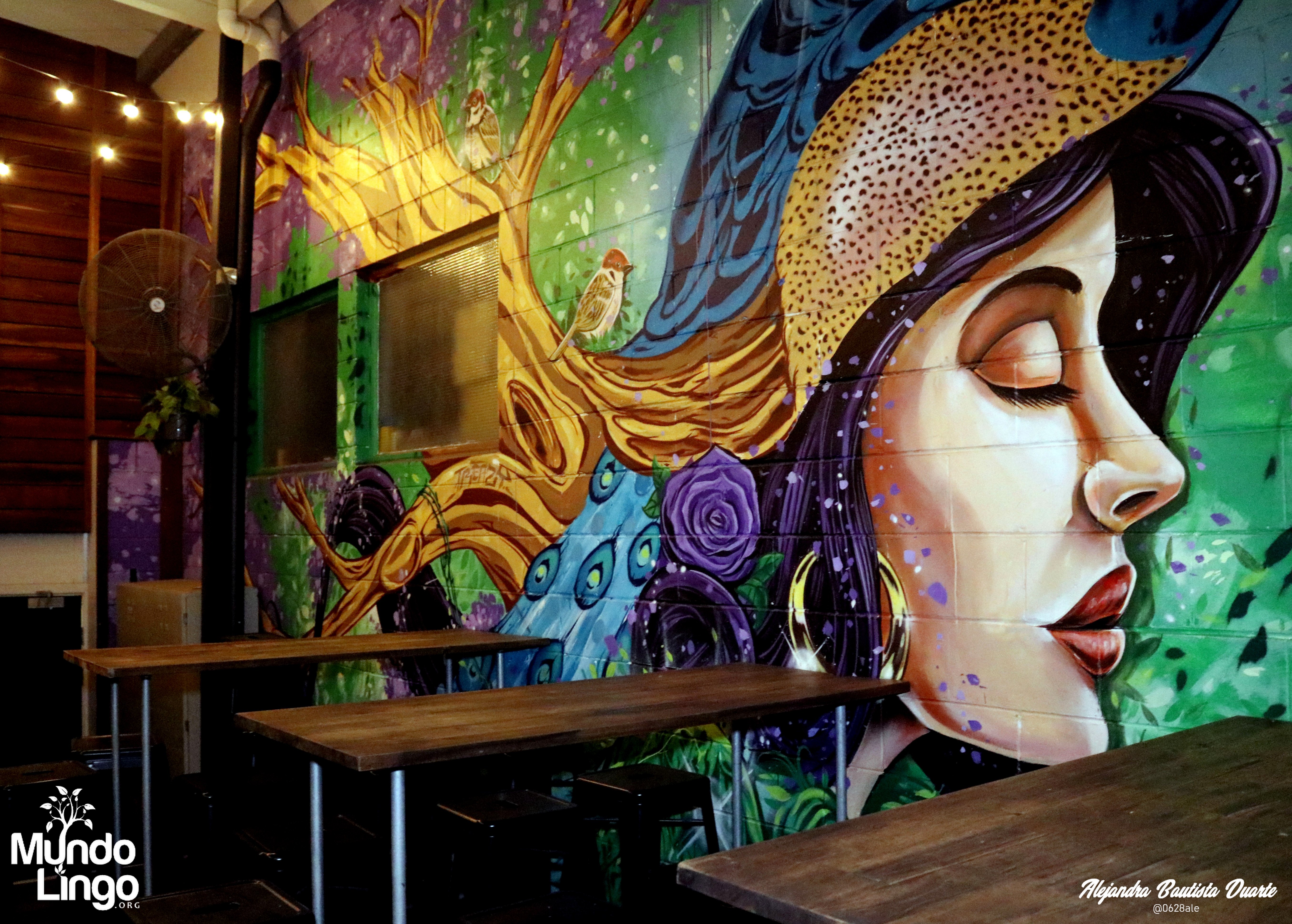 Mundo Lingo Social Night — Brisbane